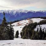 Enjoy skiing, snowboarding, tubing, snowshoeing hiking and more at Hurricane Ridge this winter. Sequim Gazette file photo by Michael Dashiell