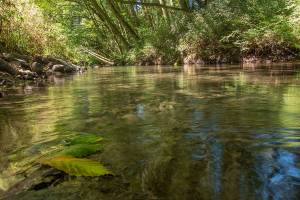 Dungeness River preservation project sale nears closing date