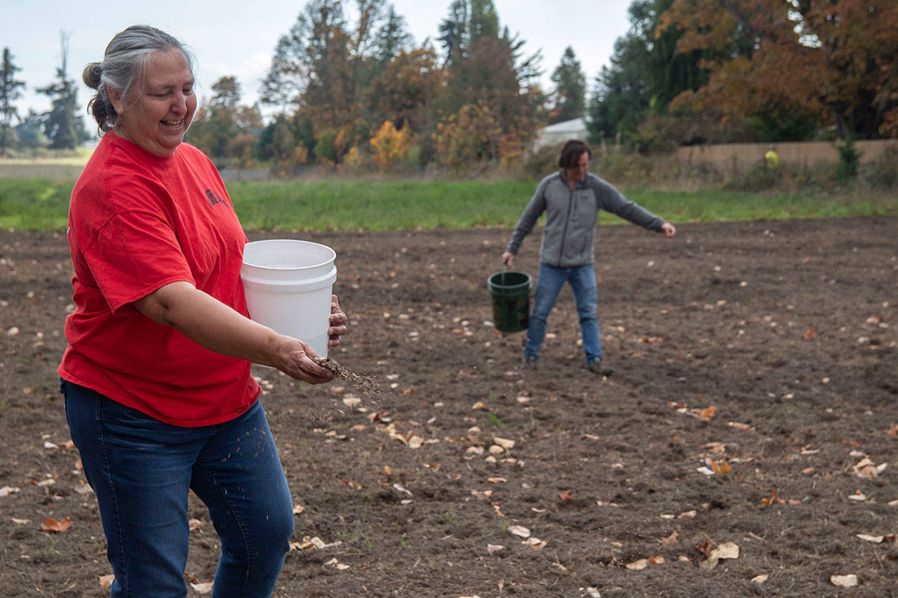 Traditional Foods Project manager Lisa Barrell and volunteer Brock Walker seed the Jamestown SKlallam Tribes new prairie with wildflowers behind the Audubon Dungeness River Center in Sequim. Photos by Tiffany Royal