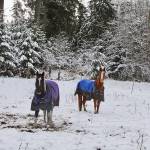 Clallam officials prepare for snow