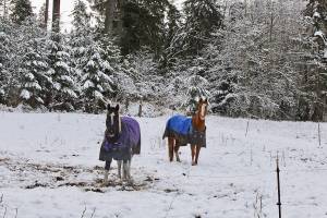 Clallam officials prepare for snow