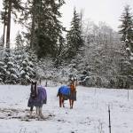 Clallam officials prepare for snow