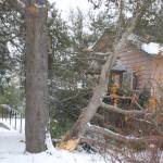 Above, A tree fell onto Pacific Pantry on Jan. 15 due to heavy snowfall. Minimal damage was reported and no injuries. The business reopened on Jan. 17. Below, David Silliman of Simply Beautiful Builders clears the parking lot at 213 E. Washington St. with his ATV-mounted snowplow on Jan. 14. I can get into a lot of places other plows cant, Silliman joked. 
Sequim Gazette photos by Conor Dowley