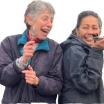 Learn how to boost blueberry productivity