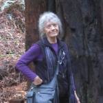 Boulter to speak at Fourth Friday readings