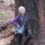 An author of both prose and poetry, writer Mary-Alice Boulter is the featured speaker at the Fourth Friday Readings at 6:15 p.m. on Feb. 28 at The Lodge, 660 Evergreen Farm Way. Submitted photo