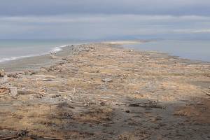 Dungeness National Wildlife Refuge seeking volunteers