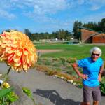 Lee Bowen, seen looking at his dahlia The Zookeepers Giraffe, helped grow the dahlia in recent years at the Sequim Botanical Garden in Carrie Blake Community Park near the James Center for Performing Arts. Sequim Gazette photo by Matthew Nash