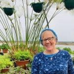 Learn about growing in greenhouses for sustenance, soul