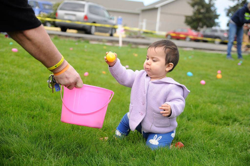 Camilla Peterson, 8 months, of Sequim, looks for Easter eggs at the annual egg hunt at the Sequim Elks Lodge in 2019. The event for 2020 has been canceled, Elks representatives said. Sequim Gazette photo by Michael Dashiell