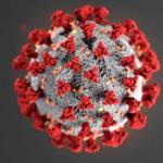 Coronavirus cases grow to 11 on peninsula