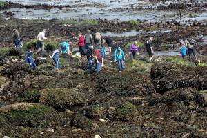 Clallam fairgrounds, most county parks closed through May 4