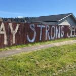 For about a week, Katie Smith worked with her children and some neighbors to draw an inspirational chalk mural along her subdivisions fence facing South Sequim Avenue. Photo courtesy of Isaac Peiffer