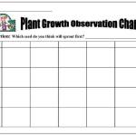 Get It Growing: From seed to plant