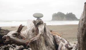 Olympic coastal sites shut down over COVID-19 concerns