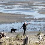 Officers with the Washington Department of Fish and Wildlifes Law Enforcement Program look to divert a black bear from residents and homes north of Sequim this past weekend. Photo courtesy of Washington Department of Fish and Wildlife