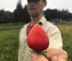 What’s Happening at the Market: Community Nutrition Program fuels healthy lifestyles