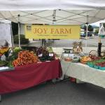 Check out Joy Farm, a Sequim-based organic farm, each Saturday at the Sequim Farmers and Artisans Market starting in May. Photo courtesy of Elli Rose