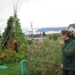 Laurel Moulton, pictured here at the 5th Street community garden in Port Angeles, hosts a presentation on Growing Legumes for Fresh Eating and Storage on May 14. Photo courtesy of Laurel Moulton