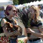 Kjirsten Mills and Marilyn Fisher of Tacoma with Noodles the dog smell some lavender bundles from Peninsula Nurserys booth at the Sequim Lavender Festival Street Fair last year. This year, organizers cancelled the Street Fair on July 17-19 due to concerns for the potential spread of COVID-19 but lavender farms plan to be open during this time. Sequim Gazette photo by Matthew Nash