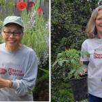 Master Gardeners to talk growing tomatoes