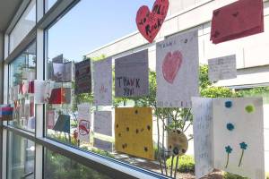 Peninsula counties planning for Phase 2