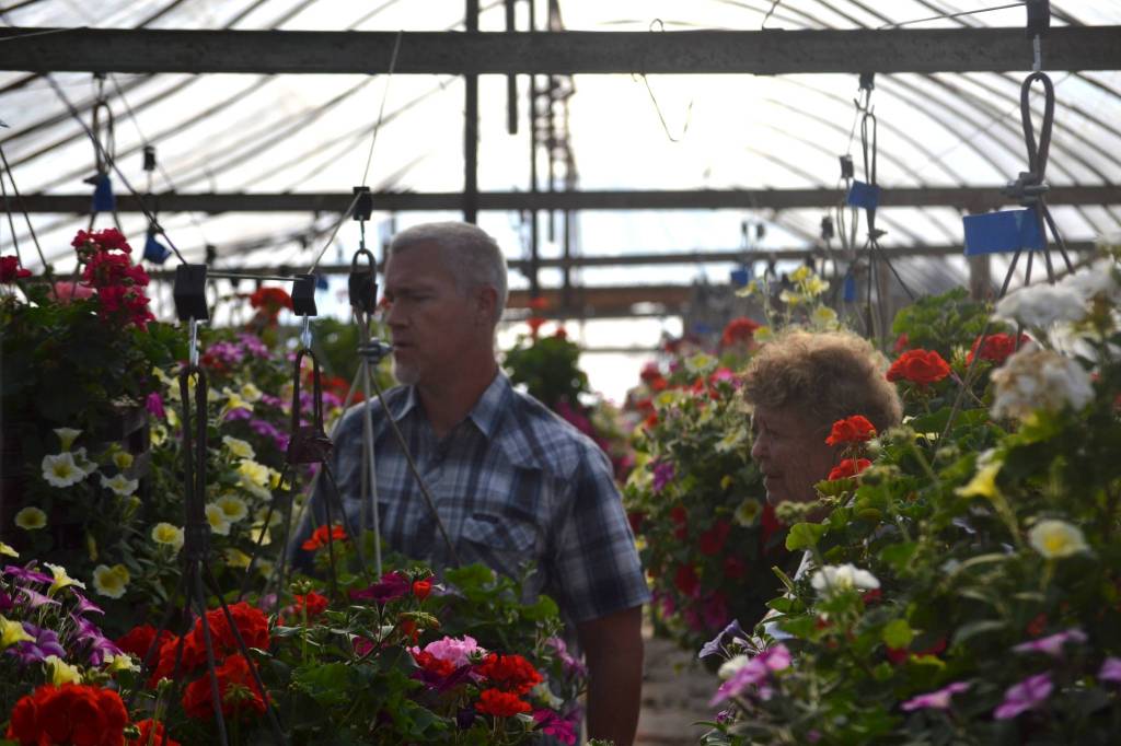 Agriculture teacher Steve Mahitka and Emily Westcott, flower basket coordinator, assess some of the baskets on May 22 before setting them for delivery along Washington Street on June 1. Sequim Gazette photo by Matthew Nash