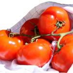 Get It Growing: Common tomato problems