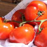 Get It Growing: Common tomato problems