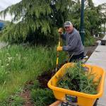 Sequim Beautiful Day brightens Boys Girls Club