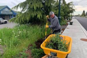 Sequim Beautiful Day brightens Boys Girls Club