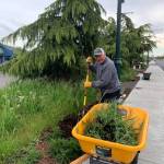 Sequim Beautiful Day brightens Boys Girls Club