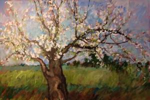 Blue Whole Gallery to host ‘walk-by’ exhibit