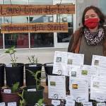 What’s Happening at the Market: Simple herbal medicine at home with Herbs ‘n Dreams