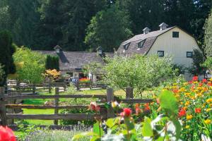 Concerts in the Barn moves concerts online