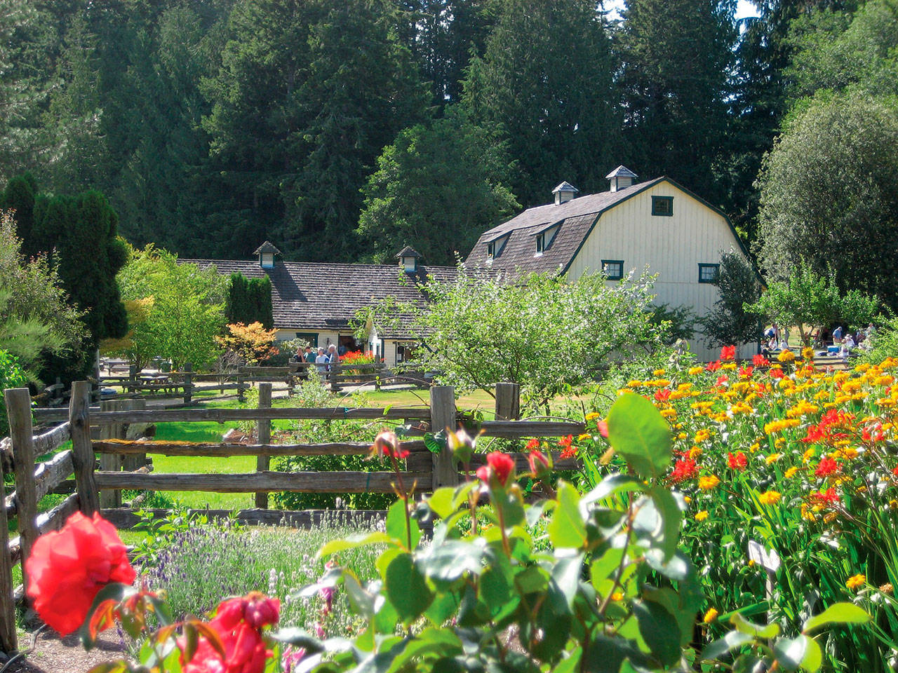 Concerts in the Barn moves concerts online