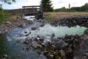 In recent weeks, City of Sequim officials stopped distributing reclaimed water due to a high amount of particulates found in its treated water. City staff attribute the possible increased use of bleach products to the decrease in visibility in the treated water but it will tentatively return to normal levels this week. Sequim Gazette photo by Matthew Nash