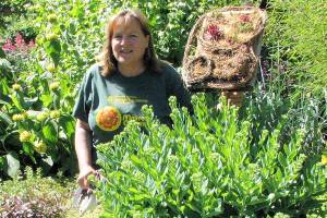 Master Gardener to explain ‘Simple Drip Irrigation’