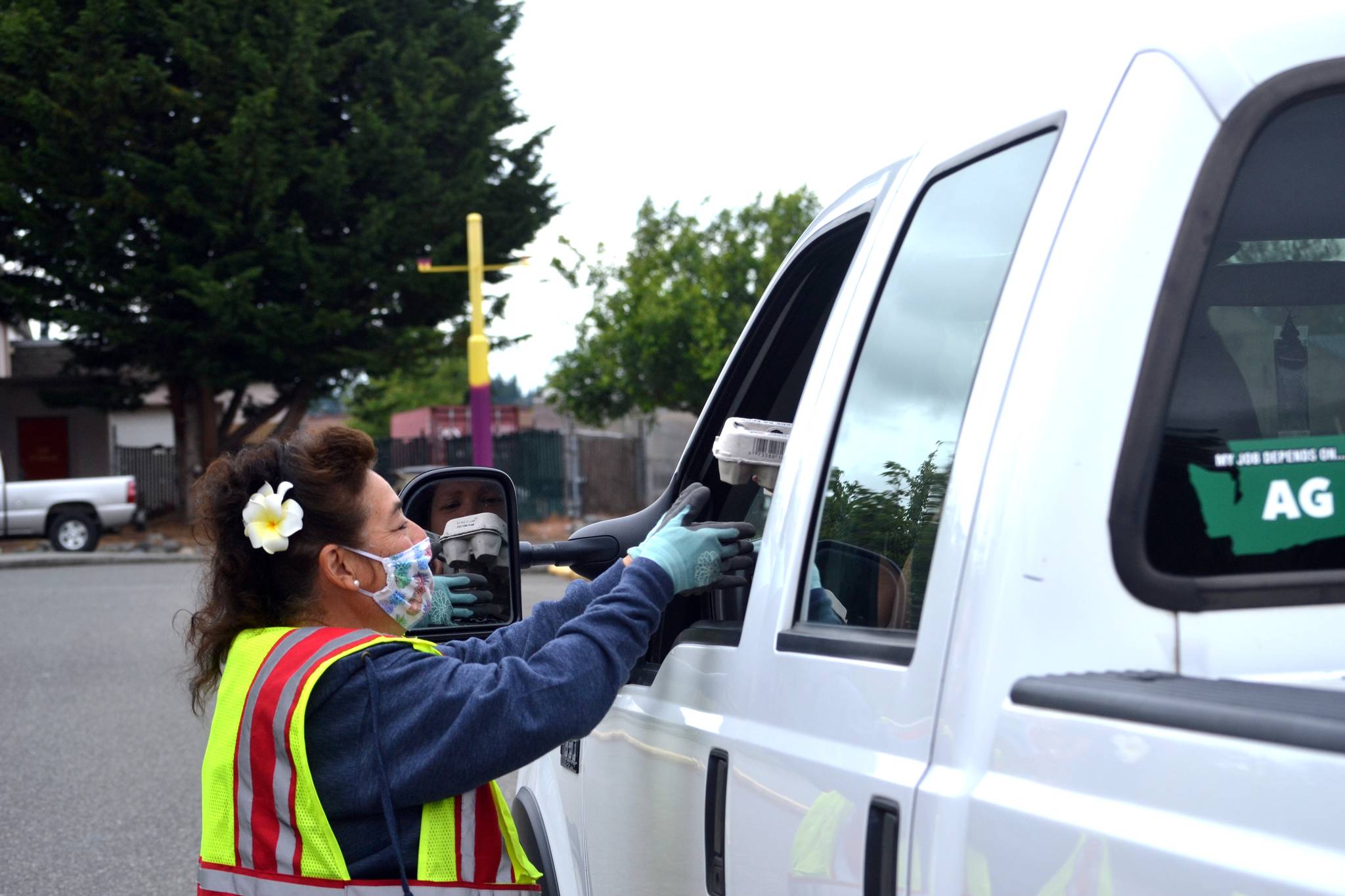 June Nicholas, a Sequim Food Bank volunteer, gives a package of eggs to a visitor of the Coronavirus Food Assistance Program at Sequim High School. For 12 weeks, residents can pick up free food from the USDA on Wednesdays. Sequim Gazette photo by Matthew Nash