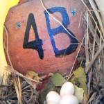 Purple Martin eggs lay inside a nesting box in the Port Angeles harbor. (We) expect these to hatch about mid-July, says Ken Wiersma. Photo by Ken Wiersma