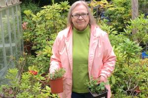 Gardeners to talk phosphorus, propagation at Green Thumbs presentations