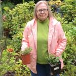 Rosalie Preble explains the basics of softwood cutting propagation in a Zoom presentation on July 23. Submitted photo