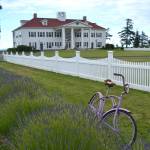 Washington Lavender and the George Washington Inn host a modified Washington Lavender Festival from July 10-19 with lavender ice cream, some vendors and lavender craft sessions with safety provisions in place to prevent the potential spread of Covid-19. Sequim Gazette photo by Matthew Nash
