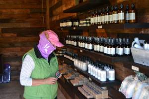 Shari Roland of Tacoma looks at some soaps during a visit to Lavender Connections gift shop. Lavender farms must require visitors and staff to wear masks inside buildings and recommend them in lavender fields, Clallam County health officials say. Sequim Gazette photo by Matthew Nash