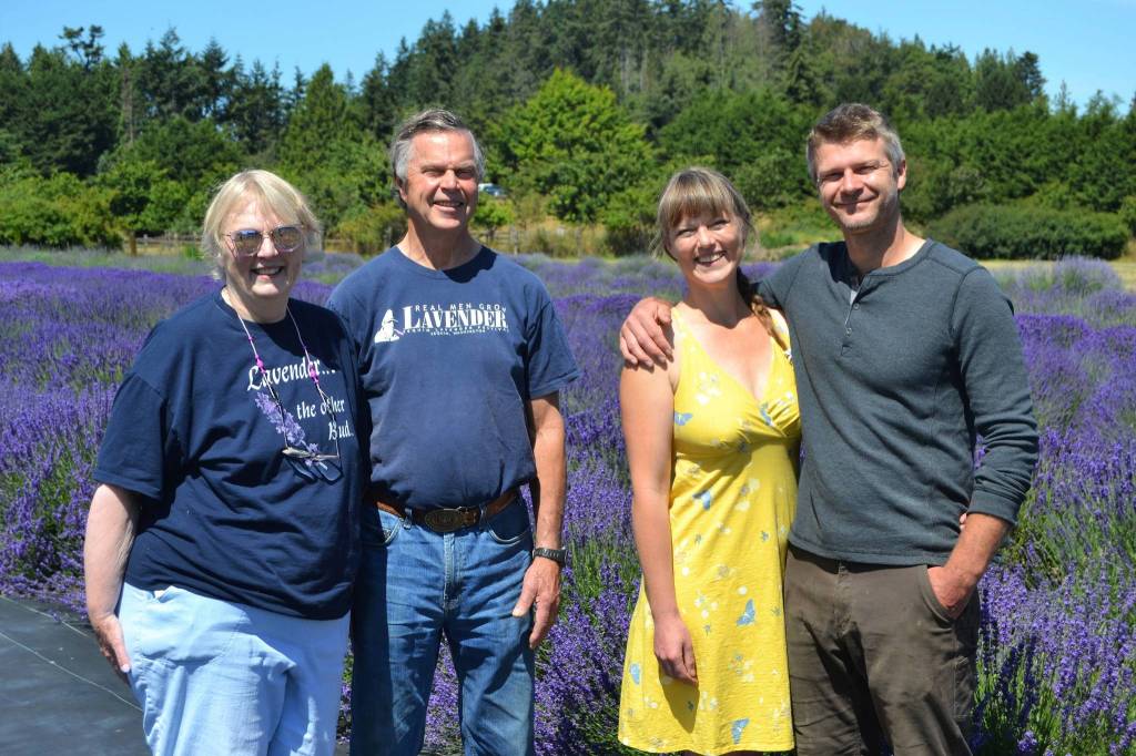 Susan and Rick Olson, and Rebecca Olson and Doug Mazzeo, co-owners of Lavender Connection, made the decision to make the farm by appointment only so they could comply with state guidelines for Covid-19 to social distance and clean areas better. Sequim Gazette photo by Matthew Nash