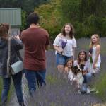 Mom and Dad Ulga and Andre Volozin of Seattle take photos of their family, including daughters Yana, Liza, Renata and Carina, and dog James on July 17 at Fleurish Lavender of Lost Mountain. Family members said this was their second year visiting Sequim, and they were looking to escape the city for a day. Sequim Gazette photo by Matthew Nash
