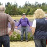 Owner Bruce McCloskey welcomes visitors to the B&B Family Lavender Farm in Sequim on July 17. Sequim Gazette photo by Michael Dashiell