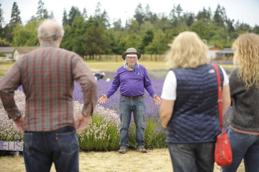 Owner Bruce McCloskey welcomes visitors to the B&B Family Lavender Farm in Sequim on July 17. Sequim Gazette photo by Michael Dashiell