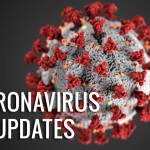 This illustration, created at the Centers for Disease Control and Prevention, reveals ultrastructural morphology exhibited by coronaviruses. Note the spikes that adorn the outer surface of the virus, which impart the look of a corona surrounding the virion, when viewed electron microscopically. A novel coronavirus, named Severe Acute Respiratory Syndrome coronavirus 2 (SARS-CoV-2), was identified as the cause of an outbreak of respiratory illness first detected in Wuhan, China, in 2019. The illness caused by this virus has been named coronavirus disease 2019 (COVID-19).