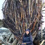 Sahrah Brown of Victoria created the driftwood heart on Ediz Hook in 2015. Peninsula Daily News file photo